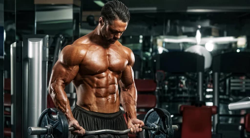 How To Build  More Muscle