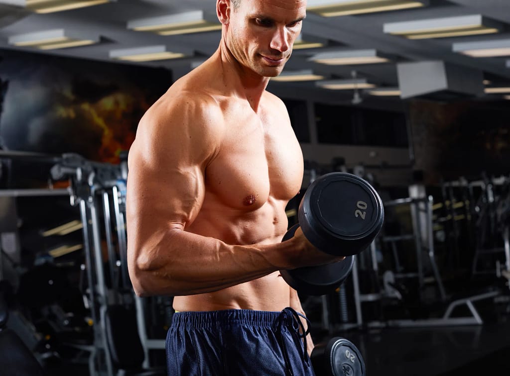 How To Build  More Muscle