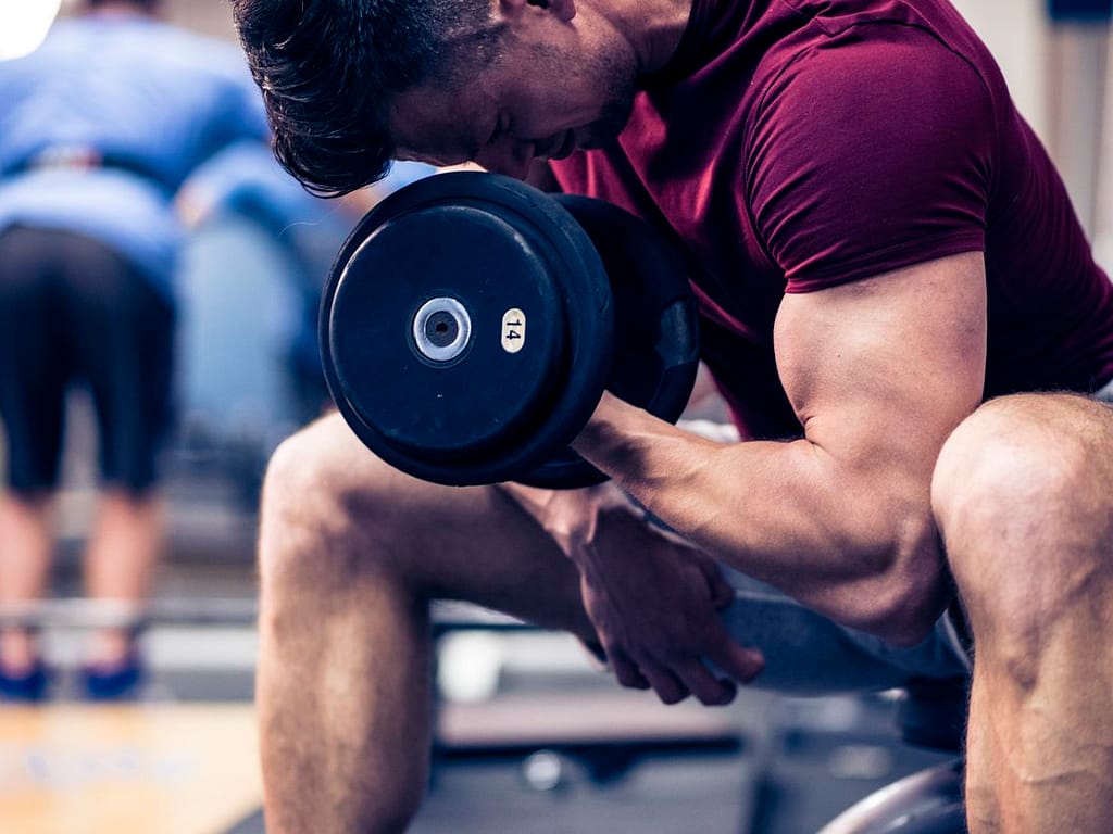 How To Build  More Muscle
