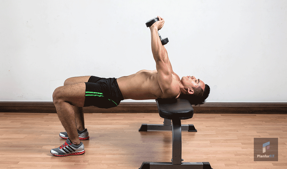How To Build Back Muscle