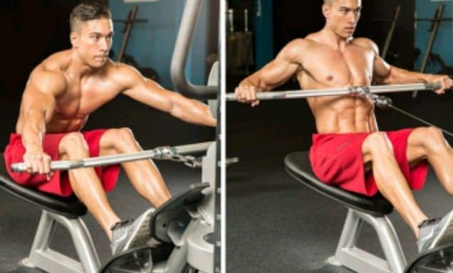 How To Build Back Muscle