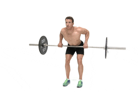 How To Build Back Muscle