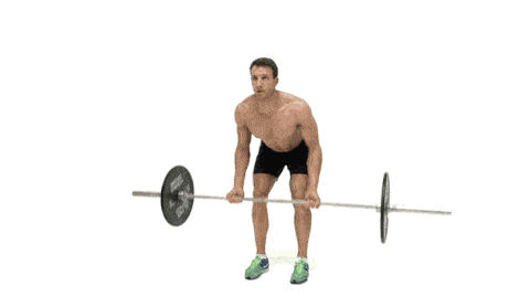 How To Build Back Muscle