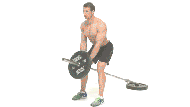 How To Build Back Muscle