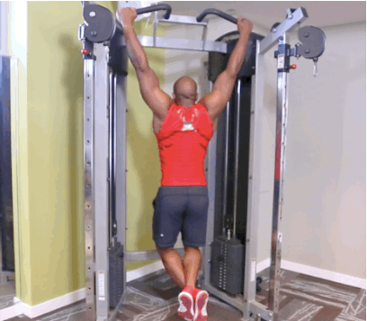 How To Build Back Muscle