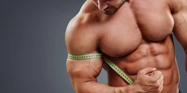 How To Build Muscle