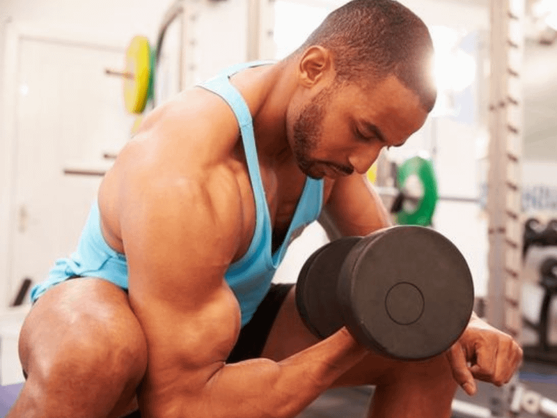 Arm Workout For Beginners